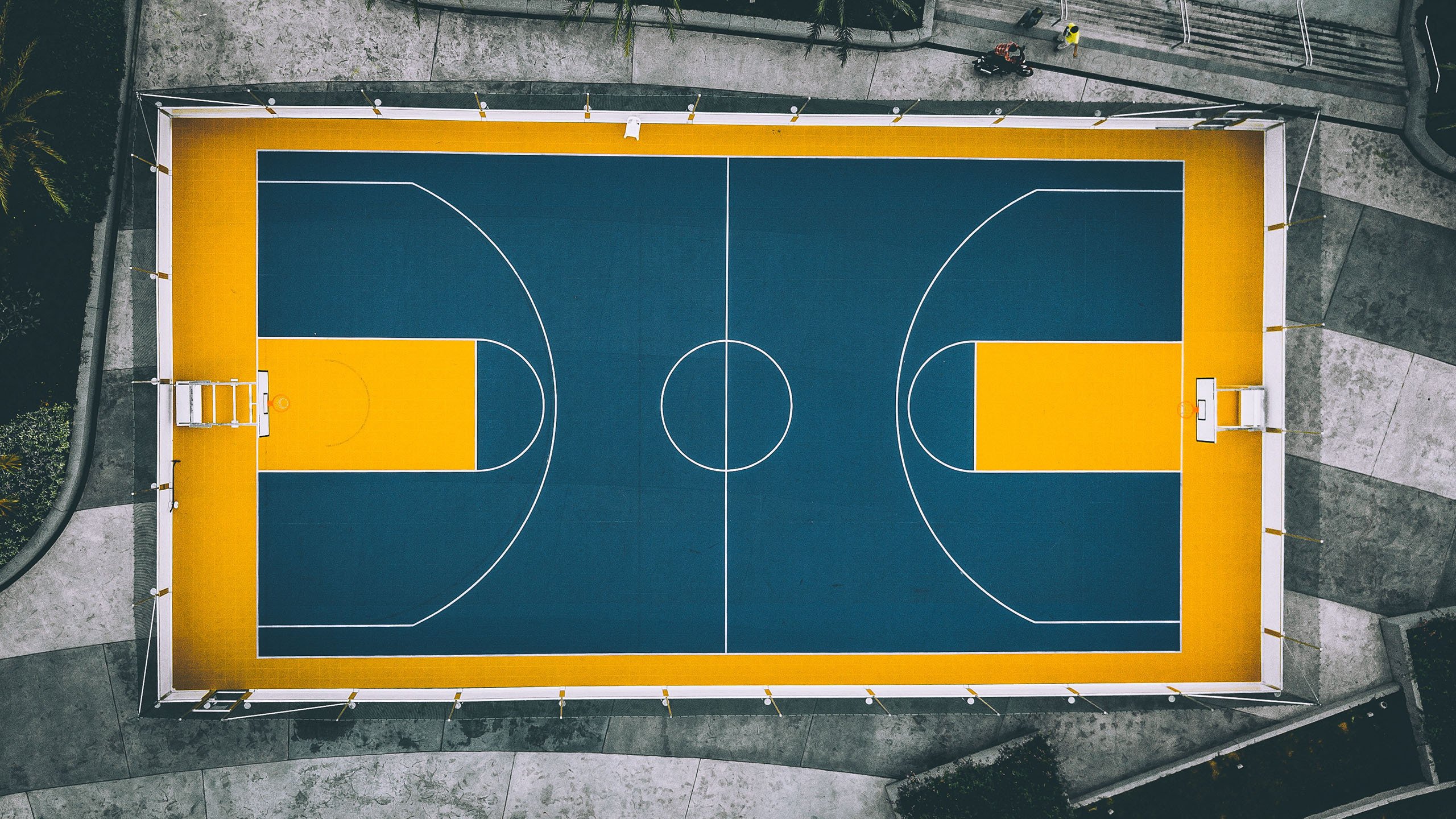 王者归来!东契奇复出首秀惊艳全场,MAD主场沦陷球迷疯狂